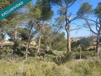 /international/es/almansa-castile-la-mancha-310107174889/