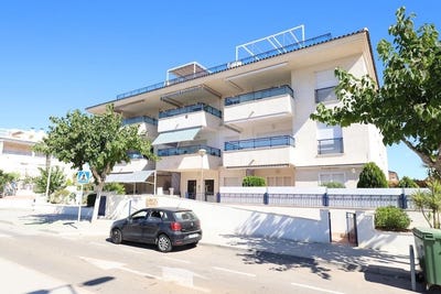 /international/es/mil-palmeras-valencian-community-310108526953/