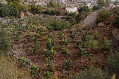 /international/es/gualchos-andalusia-310104980558/