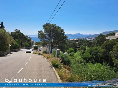 /international/es/llan-catalonia-310100434008/