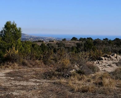 /international/es/jalon-valencian-community-310103618552/