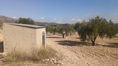 /international/es/salinas-valencian-community-310103155193/