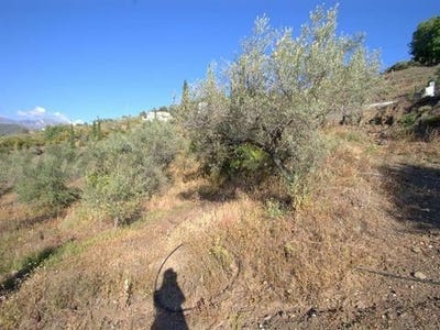 /international/es/competa-andalusia-120094942727/