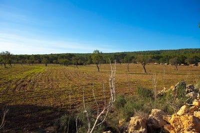 /international/es/el-toro-balearic-islands-120070782244/
