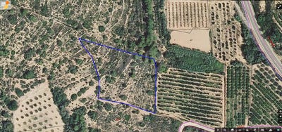 /international/es/partida-coll-d-en-piquer-ulldecona-catalonia-310105943608/