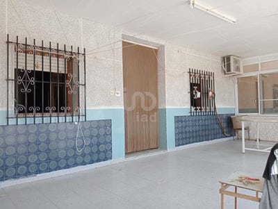 /international/es/elche-valencian-community-310101175990/?lang=zh-tw