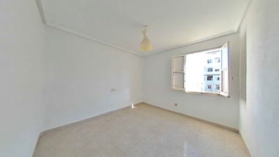 /international/es/elche-elx-valencian-community-310105830718/