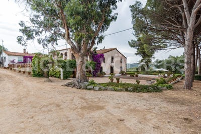 /international/es/arenys-de-munt-catalonia-310100645379/