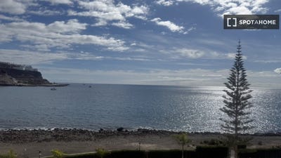 /international/es/santa-cruz-de-tenerife-canary-islands-310108558029/