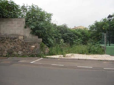 /international/es/tacoronte-canary-islands-310099708749/