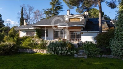 /international/es/madrid-pozuelo-de-alarcon-somosaguas-madrid-pozuelo-de-alarcon-somosaguas-madrid-pozuelo-de-alarcon-madrid-310108321888/