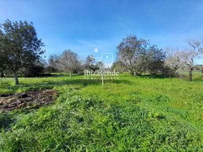 /international/es/sant-joan-de-labritja-balearic-islands-310106483752/
