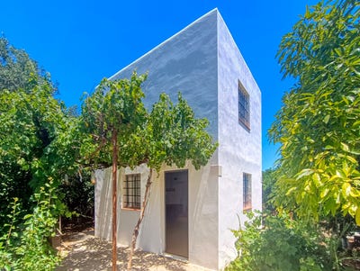 /international/es/cami-vilanova-albalat-de-la-ribera-valencian-community-310108924943/