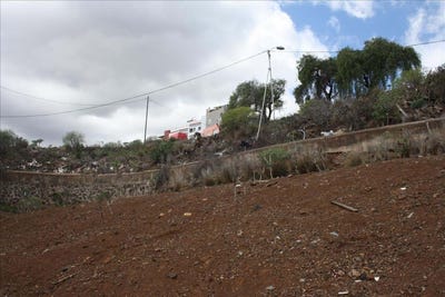 /international/es/santa-cruz-de-tenerife-canary-islands-310101355493/?lang=zh-tw