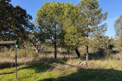 /international/es/caceres-capital-extremadura-310106135480/