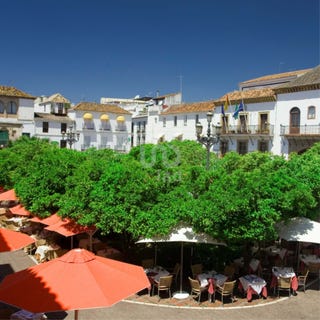 /international/es/malaga-andalusia-310099807795/