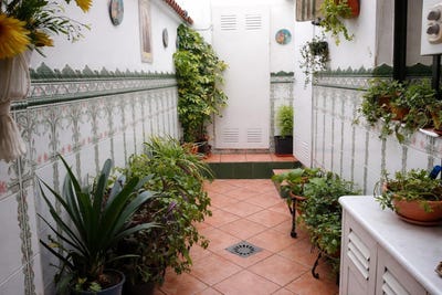 /international/es/baena-andalusia-310107704291/
