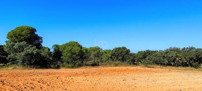 /international/es/huelva-andalusia-310100180687/