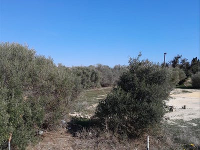 /international/es/villajoyosa-vila-joiosa-la-valencian-community-310100699091/