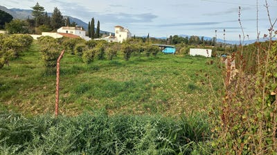 /international/es/alhaurin-de-la-torre-andalusia-310099279814/