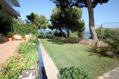 /international/es/palma-nova-balearic-islands-120086834284/