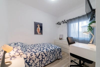 /international/es/senda-del-secanet-valencia-valencian-community-310093857144/?lang=zh-tw