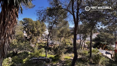 /international/es/23-carrer-de-la-talaia-peguera-balearic-islands-310107089525/
