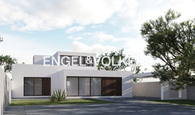 /international/es/valencina-de-la-concepcion-andalusia-310100637434/