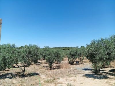 /international/es/villablanca-villablanca-andalusia-310108566226/