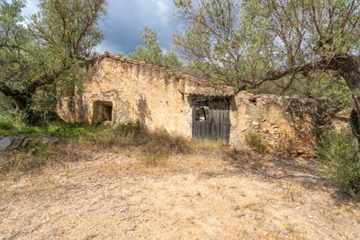 /international/es/mas-de-barberans-catalonia-310109127276/