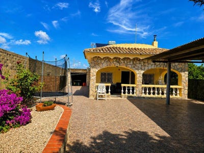 /international/es/oliva-valencian-community-310109218544/