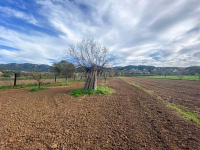 /international/es/vilanova-del-valles-catalonia-310105827659/