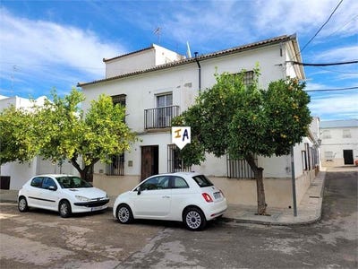 /international/es/lora-de-estepa-andalusia-310099712021/?lang=zh-cn