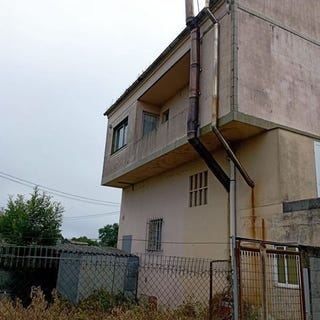 /international/es/menta-lugo-asturias-310100113402/