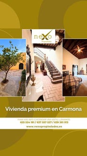 /international/es/carmona-andalusia-310109964813/