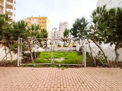 /international/es/guardamar-del-segura-valencian-community-310110249754/