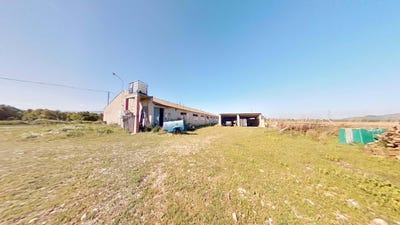 /international/es/lligallo-de-sant-jaume-ulldecona-catalonia-310107063391/