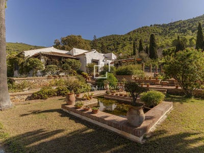 /international/es/motril-andalusia-120096319846/