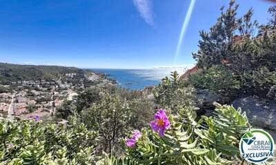 /international/es/puig-rom-girona-catalonia-310107089301/