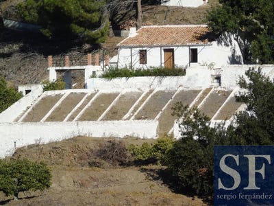 /international/es/competa-andalusia-310108370058/
