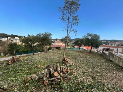 /international/es/lloret-de-mar-catalonia-310105626552/