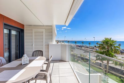 /international/es/mil-palmeras-valencian-community-310098148170/?lang=zh-tw