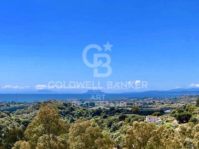 /international/es/malaga-estepona-selwo-malaga-estepona-selwo-malaga-estepona-andalusia-310104458815/