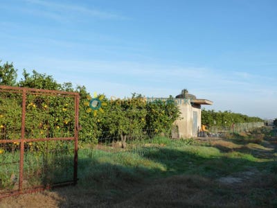 /international/es/oliva-valencian-community-310108894495/