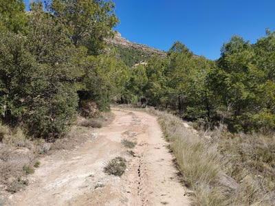 /international/es/la-morera-de-montsant-catalonia-310106914718/