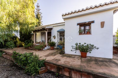 /international/es/zalea-malaga-andalusia-120081632593/