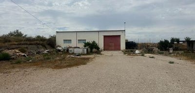/international/es/torremendo-orihuela-valencian-community-310101386919/?lang=zh-cn