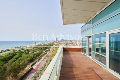 /international/es/barcelona-catalonia-310100938923/