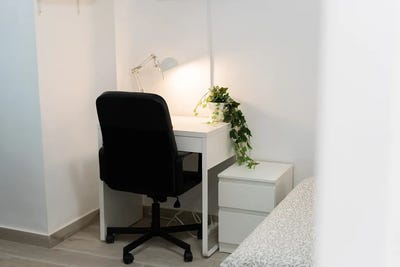 /international/es/senda-del-secanet-valencia-valencian-community-310093856078/?lang=zh-tw