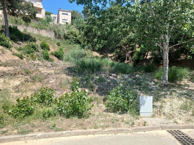 /international/es/carrer-de-bellmunt-lloret-de-mar-catalonia-310109923760/
